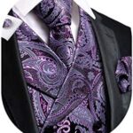 Dubulle Mens Paisley Tie and Vest Set: Is It Worth the Hype?